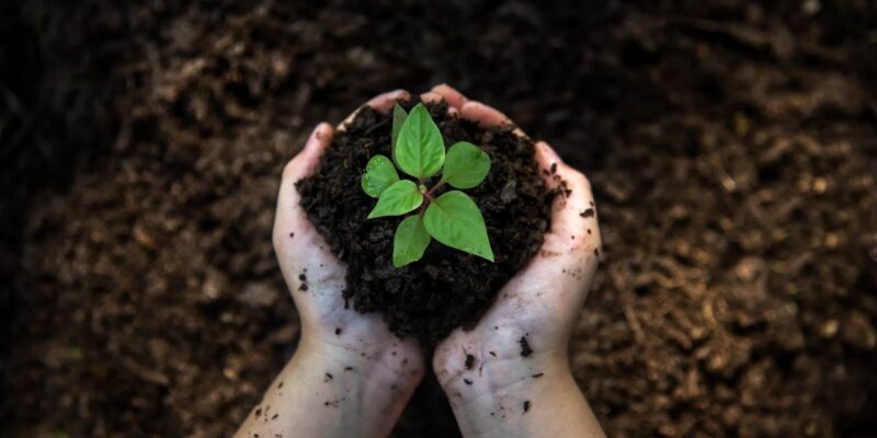 Developing the Leader Within You 2.0